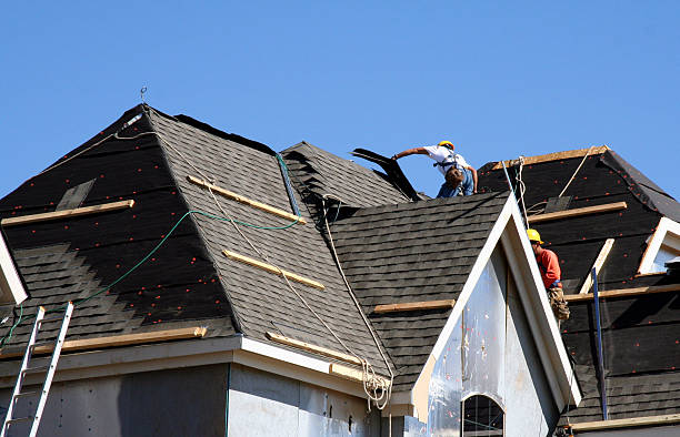 Best Roof Insulation Installation  in Staunton, IL