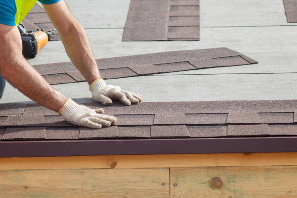 Best Roof Ventilation Installation  in Staunton, IL